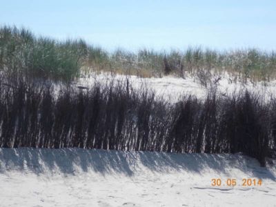 Langeoog2014 136